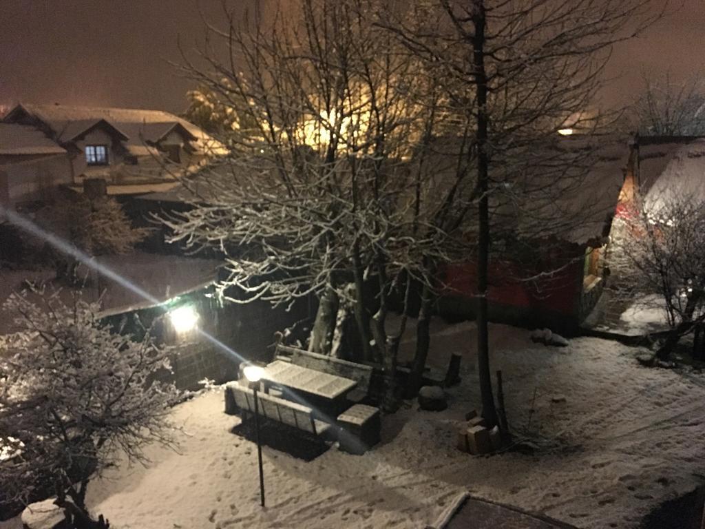 Cabanas Pehuenia Pansiyon El Bolsón Dış mekan fotoğraf