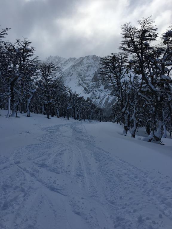 Cabanas Pehuenia Pansiyon El Bolsón Dış mekan fotoğraf