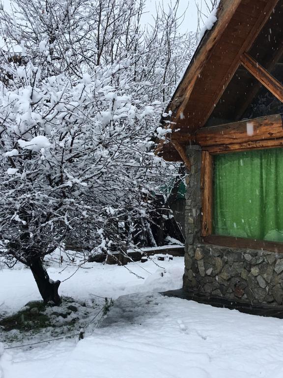 Cabanas Pehuenia Pansiyon El Bolsón Dış mekan fotoğraf